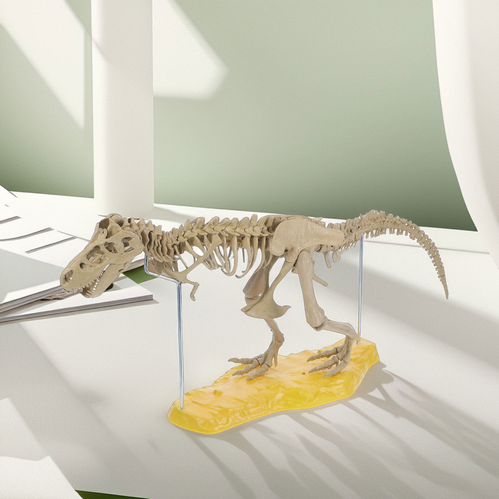 1セット組み立て式恐竜PVCキット、リアルな骨構造、子供向け - Art Craft Dinosaurs のレビューと価格